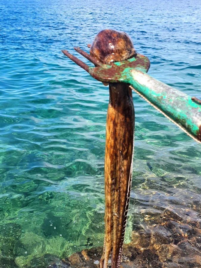 Sea Of Eden Διαμέρισμα Ντουμπρόβνικ Εξωτερικό φωτογραφία