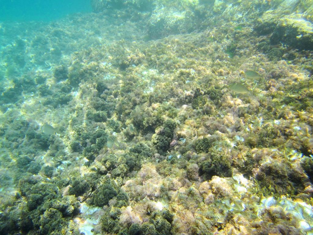 Sea Of Eden Διαμέρισμα Ντουμπρόβνικ Εξωτερικό φωτογραφία