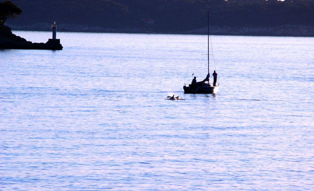 Sea Of Eden Διαμέρισμα Ντουμπρόβνικ Εξωτερικό φωτογραφία