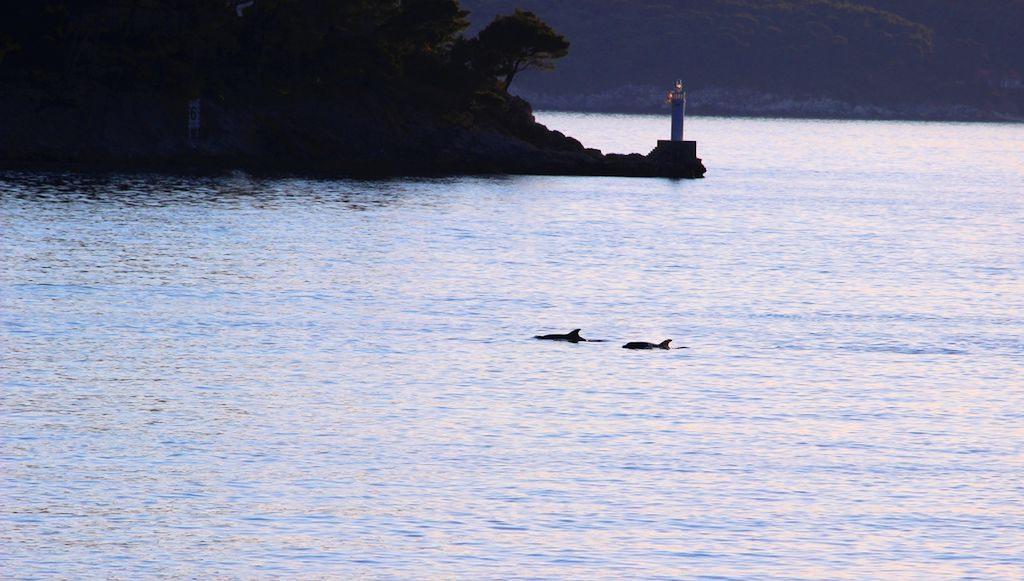 Sea Of Eden Διαμέρισμα Ντουμπρόβνικ Εξωτερικό φωτογραφία